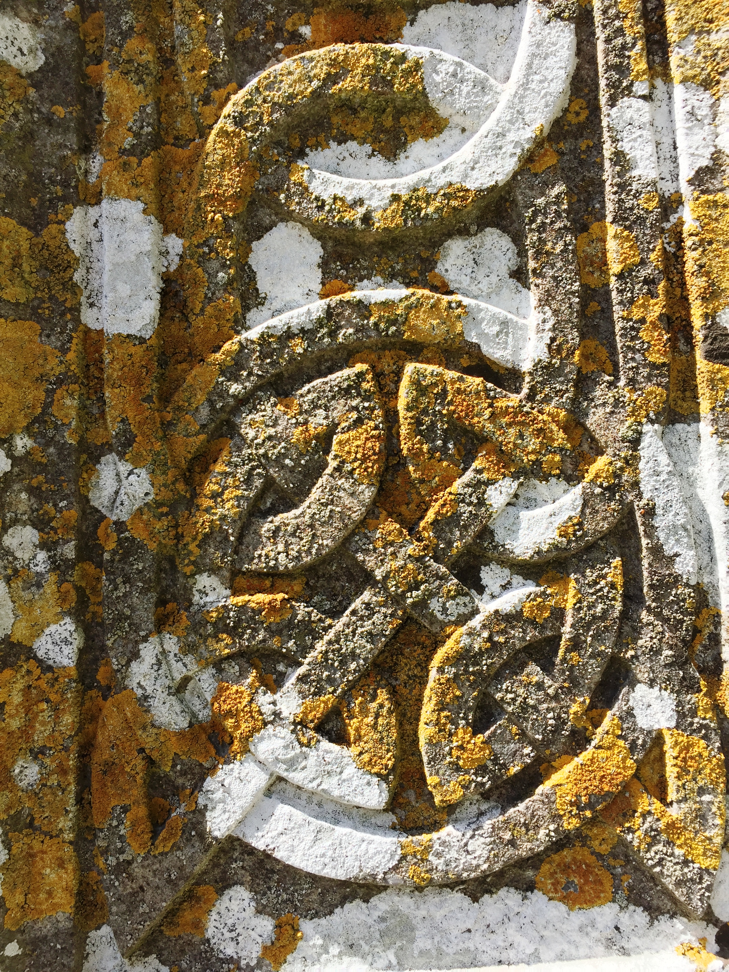 Lichen growth on one of the stone monuments at Monasterboice. Photo by Martha Clark.